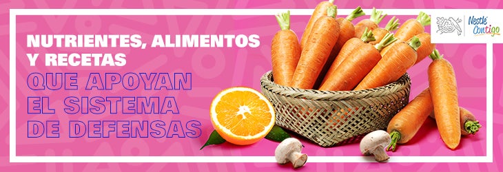 Nutrientes, alimentos y recetas que apoyan el sistema de defensas