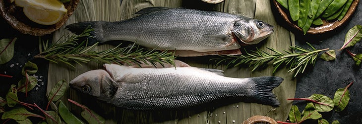 IDENTIFICA Y PREPARA UN PESCADO FRESCO 