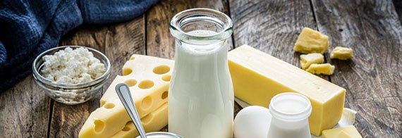 Leche, yogur, queso, cuajada, entre otros productos lácteos con probióticos