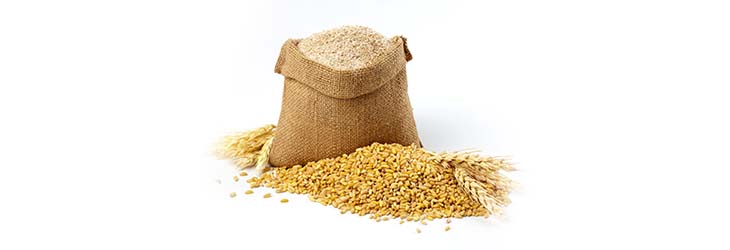 Saco de salvado y grano de trigo que aportan diferentes nutrientes y beneficios