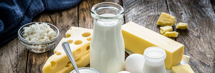 Leche, queso, yogur, kumis y huevos que son alimentos con calcio y vitamina D