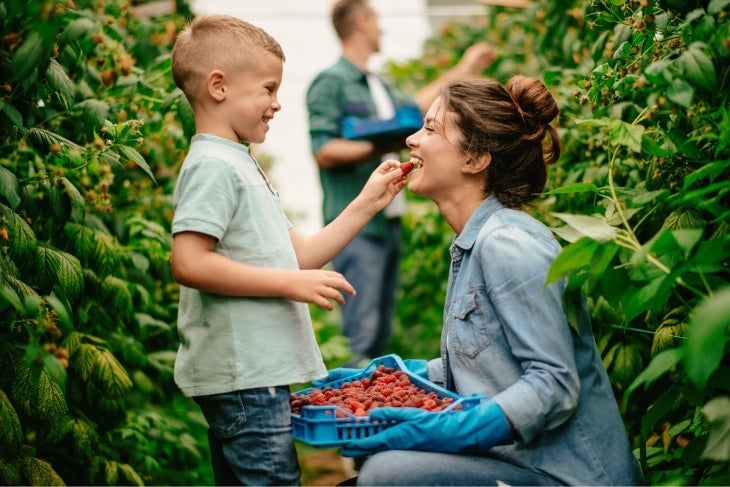Compartir comidas en familia fortalece los lazos emocionales Mamá e hijo comiendo frutas recién recolectadas