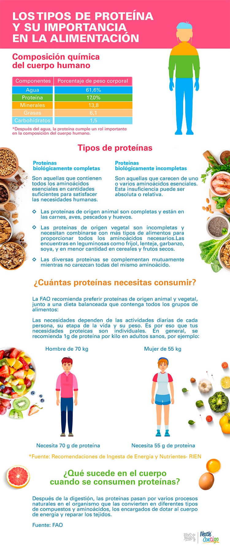 Infografia de tipos de proteina