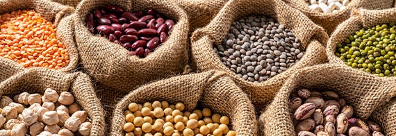 Las leguminosas como fríjol, garbanzo y lenteja son fuente de vitamina E