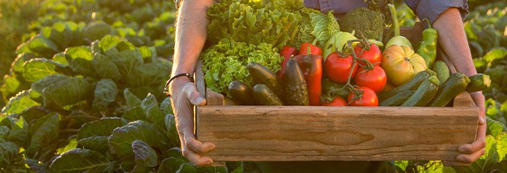Cultivar y consumir de forma sostenible es una premisa de la nutrición basada en plantas
