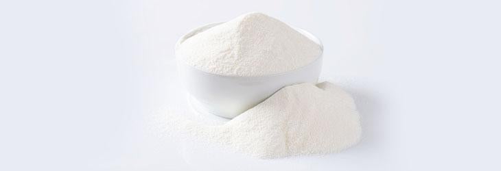 Tazón de leche en polvo que es uno de los alimentos con mayor cantidad de fósforo