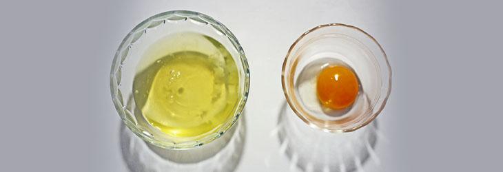 Clara y yema de huevo separados en tazones, donde la última es un alimento con fósforo