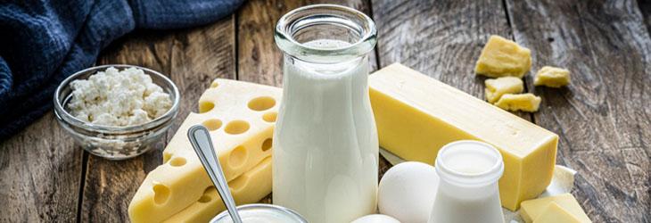 Leche, yogur, queso, mantequilla y huevos son alimentos altos en proteína animal
