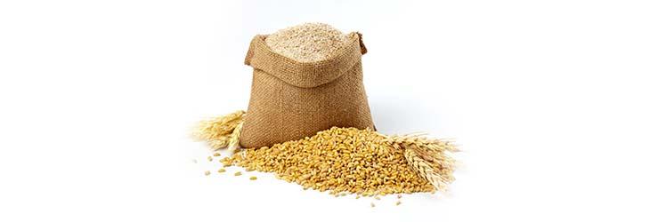 Saco de salvado y grano de trigo que aportan diferentes nutrientes y beneficios