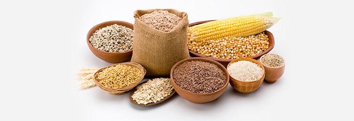 Trigo, avena, maíz, amaranto, arroz, entre otros cereales para preparar galletas integrales y multigrano