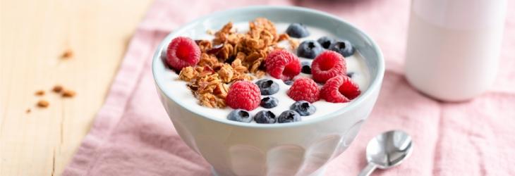 Tazón con yogur y frutas que son alimentos que aportan probióticos y prebióticos