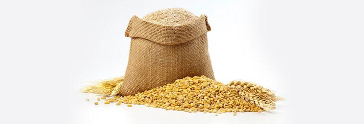 Rama de trigo integral, granos y harina en saco hecha a base de este tipo de cereal