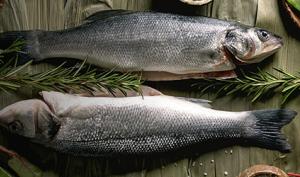 IDENTIFICA Y PREPARA UN PESCADO FRESCO 