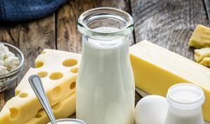 Leche, yogur, queso, cuajada, entre otros productos lácteos con probióticos